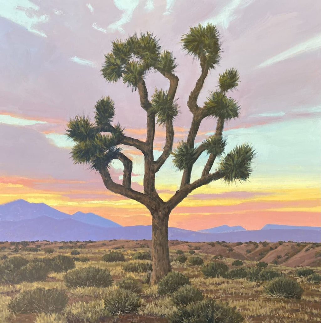 David Meikle - Mojave Joshua Tree (PLV91326B-1222-001)
