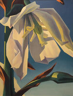 Ed Mell - Yucca in Bloom
