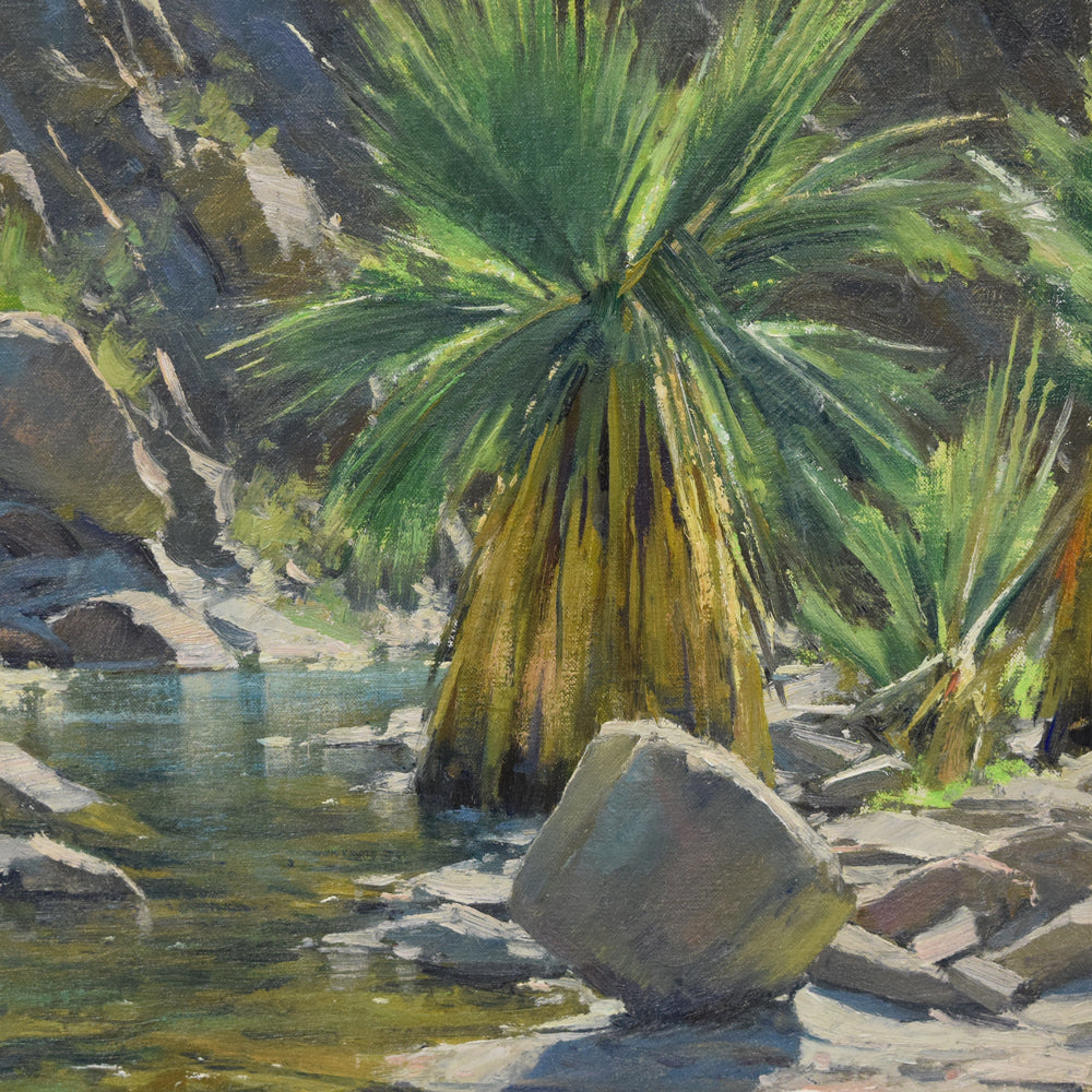 Matt Smith - A Palm in Palm Canyon 1
