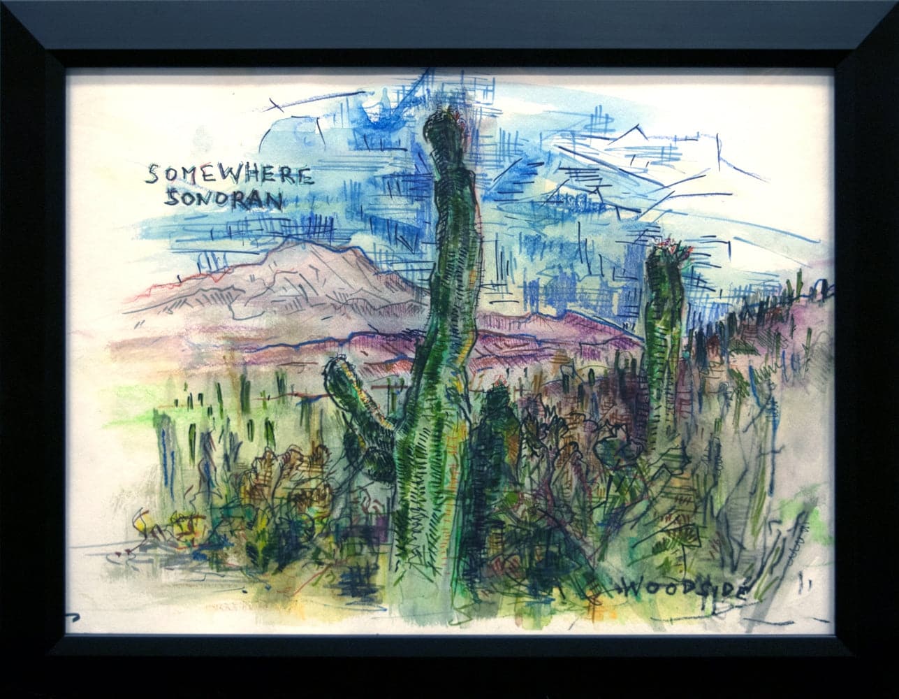 James Woodside - Somewhere Sonoran (PLV92383-0717-002)