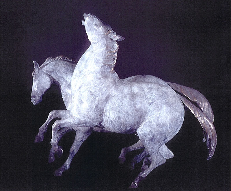 Star Liana York - Stallion Dreams