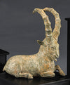 Star Liana York - Sumerian Goat