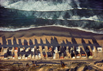 Nathan Benn - Summer Beach Houses, Salisbury Beach, Massachusetts, 1978