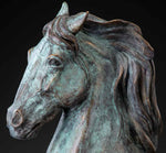 Susan Kliewer - Spirit Horse2